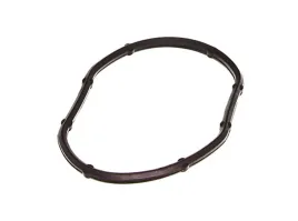 uszczelka-termostatu-opel-astra-1-6-04-aju01156300