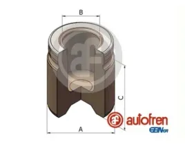 tloczek-300c-autofren-seinsa