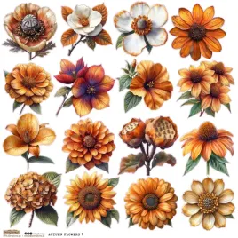 naklejki-papierowe-24x24-scraplove-autumn-flowers-1-jesienne-kwiaty-1