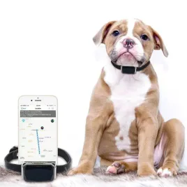 obroza-lokalizator-gps-g12p-dla-zwierzat-zwierzeta-psa-pies-kot-sos-app