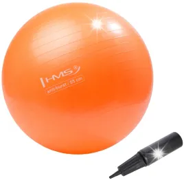 pilka-gimnastyczna-rehabilitacyjna-55cm-fitness-pompka-hms