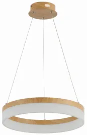 lampa-wiszaca-reality-cornelia-1-punkty-swiatla-zintegrowane-zrodlo-led