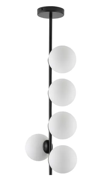 koral-5-pion
