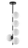 koral-5-pion