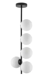 koral-5-pion