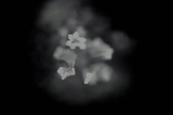 zmiekczacz-ips-kalyxx-active-1-l-rodzaj-zmiekczacz-pojemnosc-1-l
