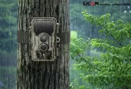 sjcam-m50-woodland