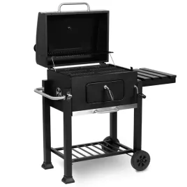grill-weglowy-berdsen-56-x-415-cm