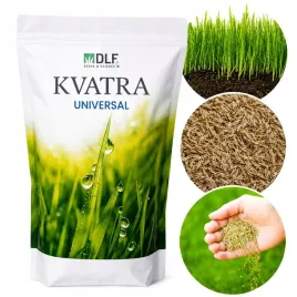 dlf-kvatra-trawa-universal-10kg-nasiona-trawy-uniwersalnej-trwala-jesienna