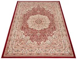 dywan-tradycyjny-100x150-gruby-modny-perski-w03