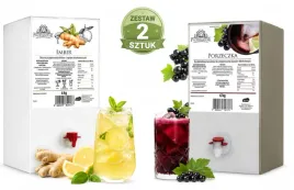 zestaw-imbir-cytryna-miod-6-kg-porzeczka-6kg-profimator-baza-syrop-drink