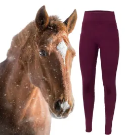 legginsy-jezdzieckie-damskie-ocieplane-start-knowsley-fullgrip-bordowe-44