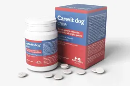 carevit-dog-cane-100-tab-nbf-lanes