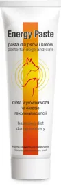 dolfos-energy-pasta-100g-pies-kot-rekonwalescencja