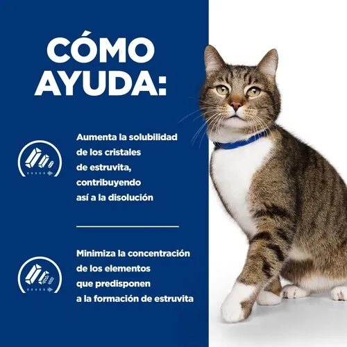 hill-s-cat-s-d-15-marka-hill-s