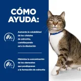 hill-s-cat-s-d-15-marka-hill-s