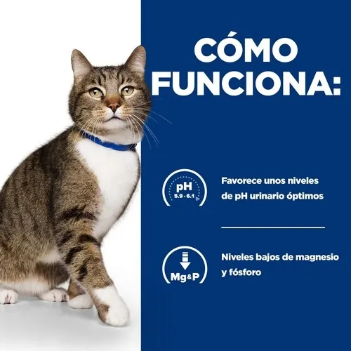 hill-s-cat-s-d-15-wiek-zwierzecia-koty-dorosle