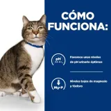 hill-s-cat-s-d-15-wiek-zwierzecia-koty-dorosle