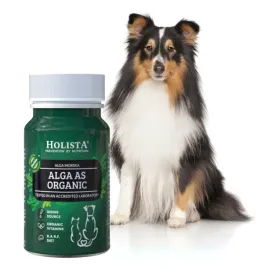 holista-alga-as-organic-90-tabletek