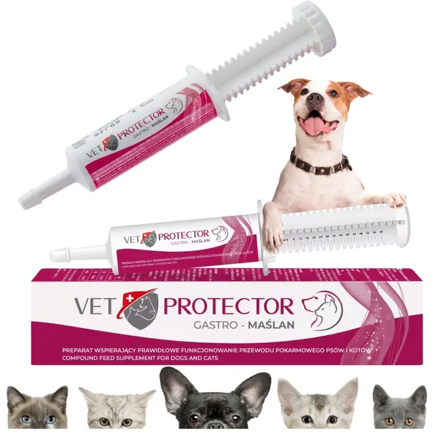 vet-protector-gastro-maslan-60ml-postac-pasta