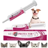 vet-protector-gastro-maslan-60ml-postac-pasta