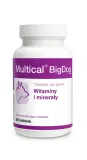 dolfos-multical-bigdog-90-tab
