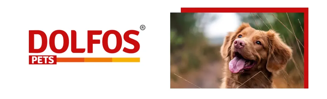 dolfos-multical-bigdog-90-tab
