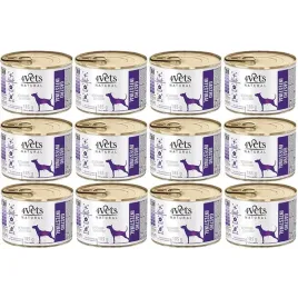 4vets-natural-dog-gastro-intestinal-12x185g