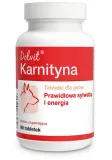 dolvit-karnityna-90-tabletek