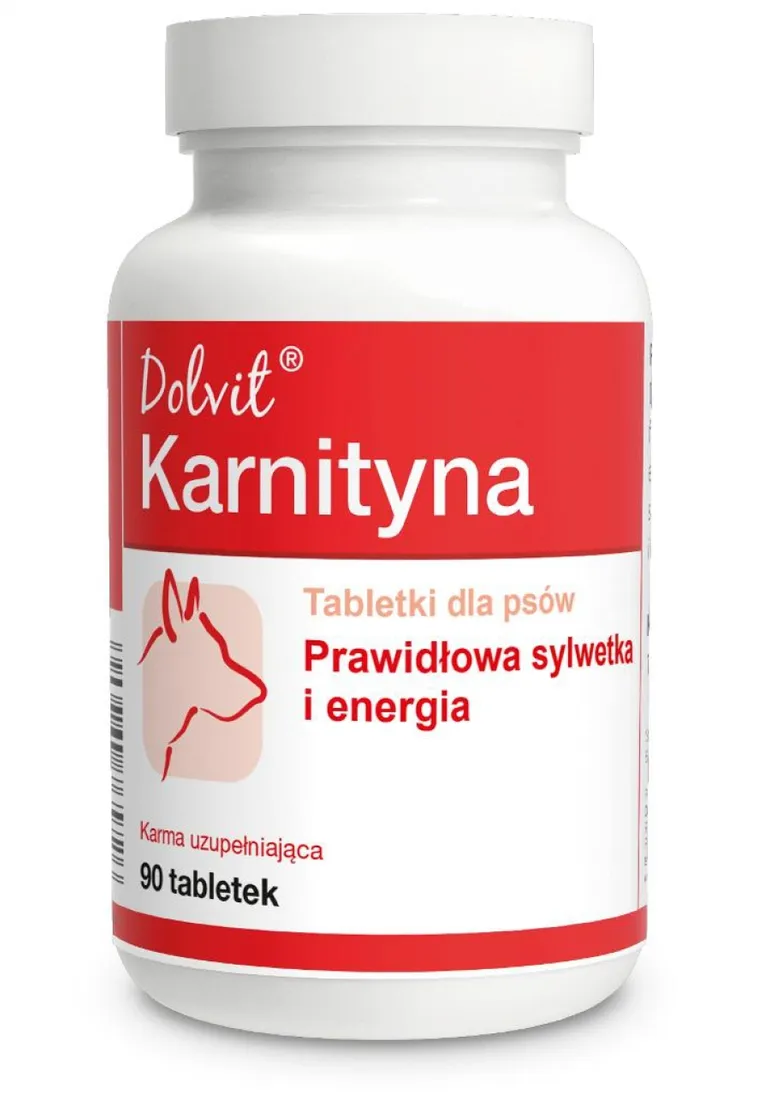 dolvit-karnityna-90-tabletek