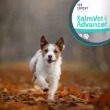 vetexpert-kalmvet-advanced-60-kapsulek-waga-z-opakowaniem-0-2-kg