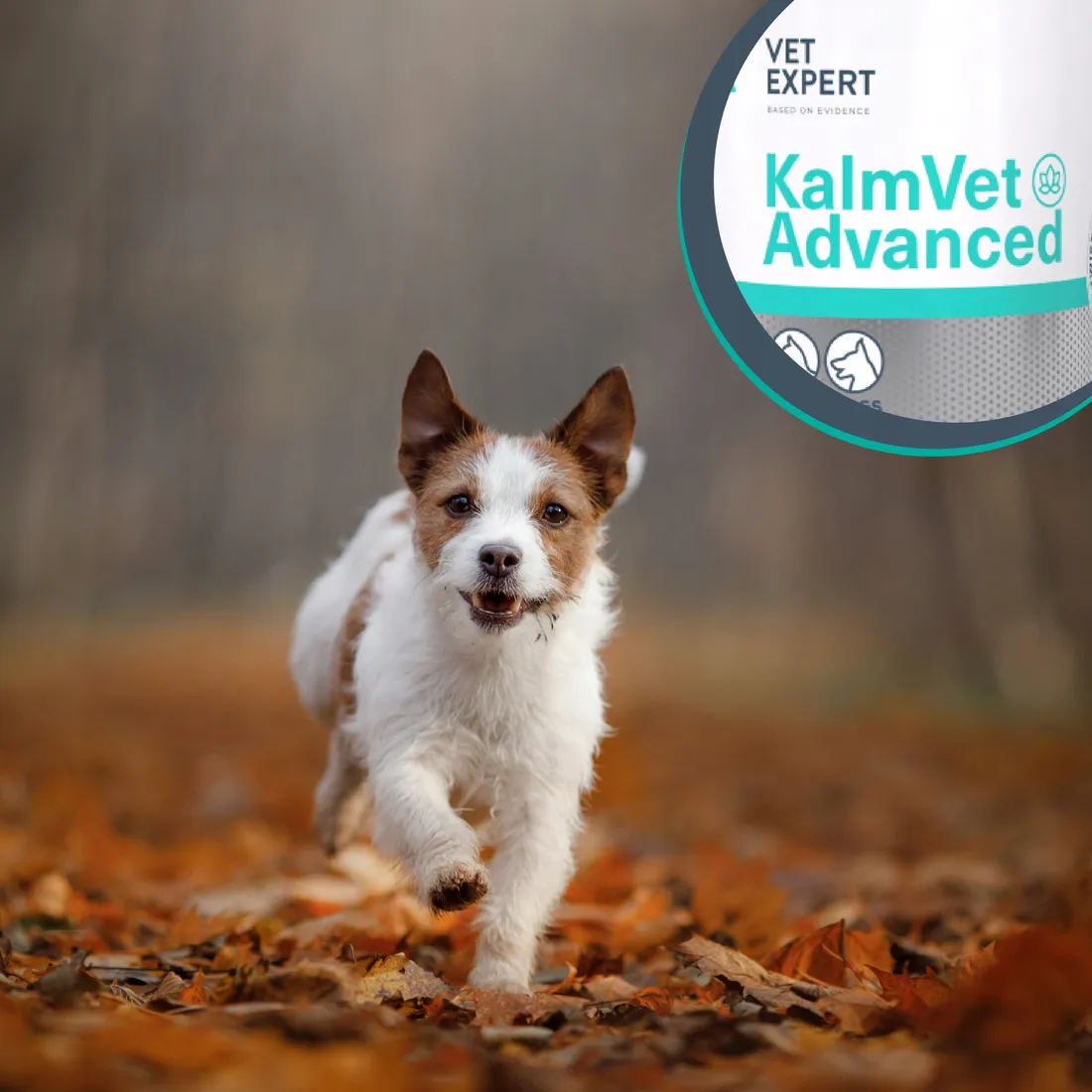 vetexpert-kalmvet-advanced-60-kapsulek-marka-vetexpert