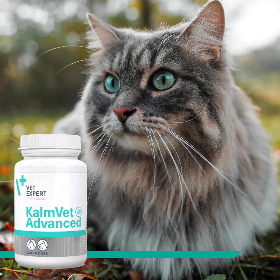 vetexpert-kalmvet-advanced-60-kapsulek-marka-vetexpert