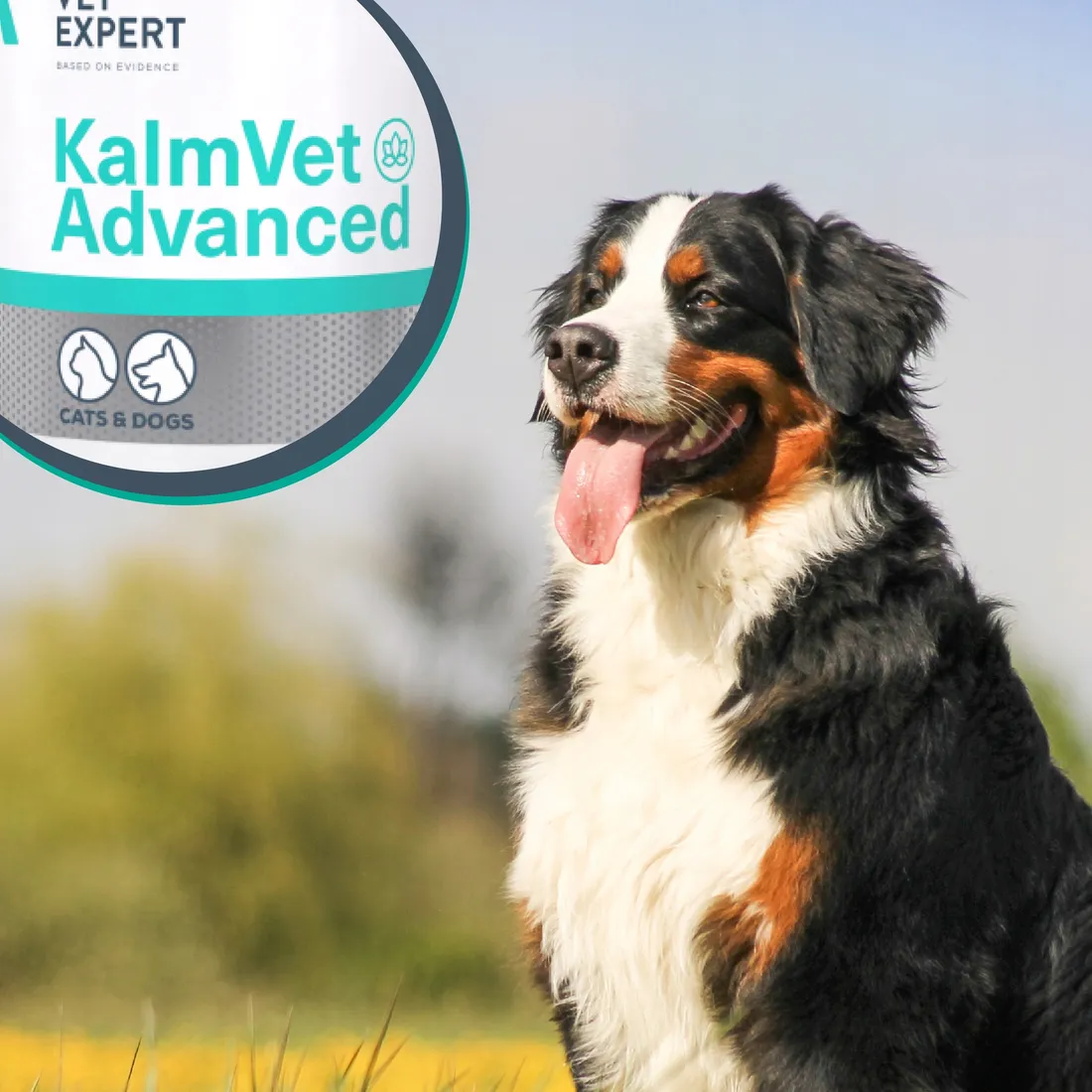 vetexpert-kalmvet-advanced-60-kapsulek-marka-vetexpert