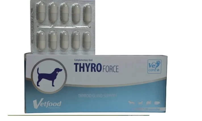 vetfood-thyroforce-120-caps-wiek-zwierzecia-dla-wszystkich-psow