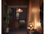 philips-hue