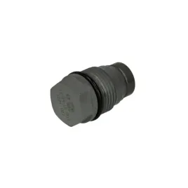 zawor-przelewowy-bosch-1110010024