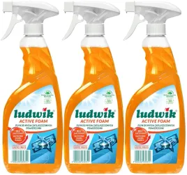 ludwik-active-foam-plyn-do-mycia-zatluszczonych-powierzchni-bio-600ml-x3