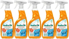 ludwik-active-foam-plyn-do-mycia-zatluszczonych-powierzchni-bio-600ml-x5