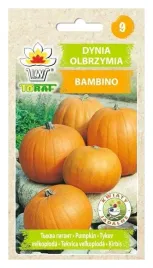 toraf-nasiona-dynia-olbrzymia-bambino-warzyw-dyni-plenna-duze-owoce-5g