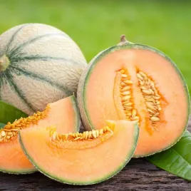 melon-charentais-intensywny-aromat-i-smak-nasiona-1-g