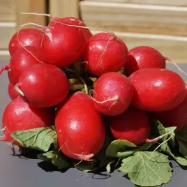 toraf-rzodkiewka-carmen-bardzo-plenna-smaczna-duza-wczesna-nasiona-10g