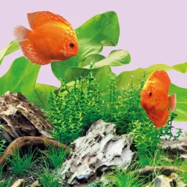 swietlowka-juwel-colour-led-895-mm