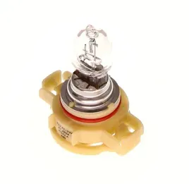 bosch-zarowka-pure-lights-ws-ps19w