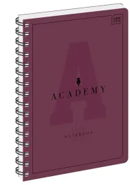interdruk-academy-zeszyt-szkolny-kolozeszyt-noatnik-a4-100k-kratka