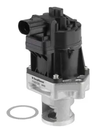 borgwarner-wahler-zawor-egr