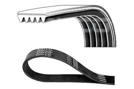 dayco-5pk926ee-pasek-klinowy-wielorowkowy