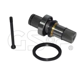 gsp-261213-walek-wewnetrzny-mechanizm-roznicowy