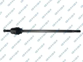 gsp-216013-wal-napedowy