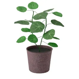 sztuczna-roslina-doniczkowa-papierowa-12-cm-stephania